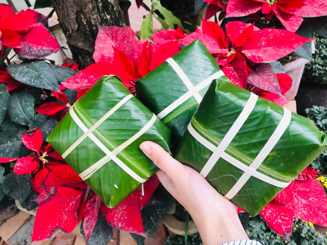 Nhấn vào ảnh để phóng to