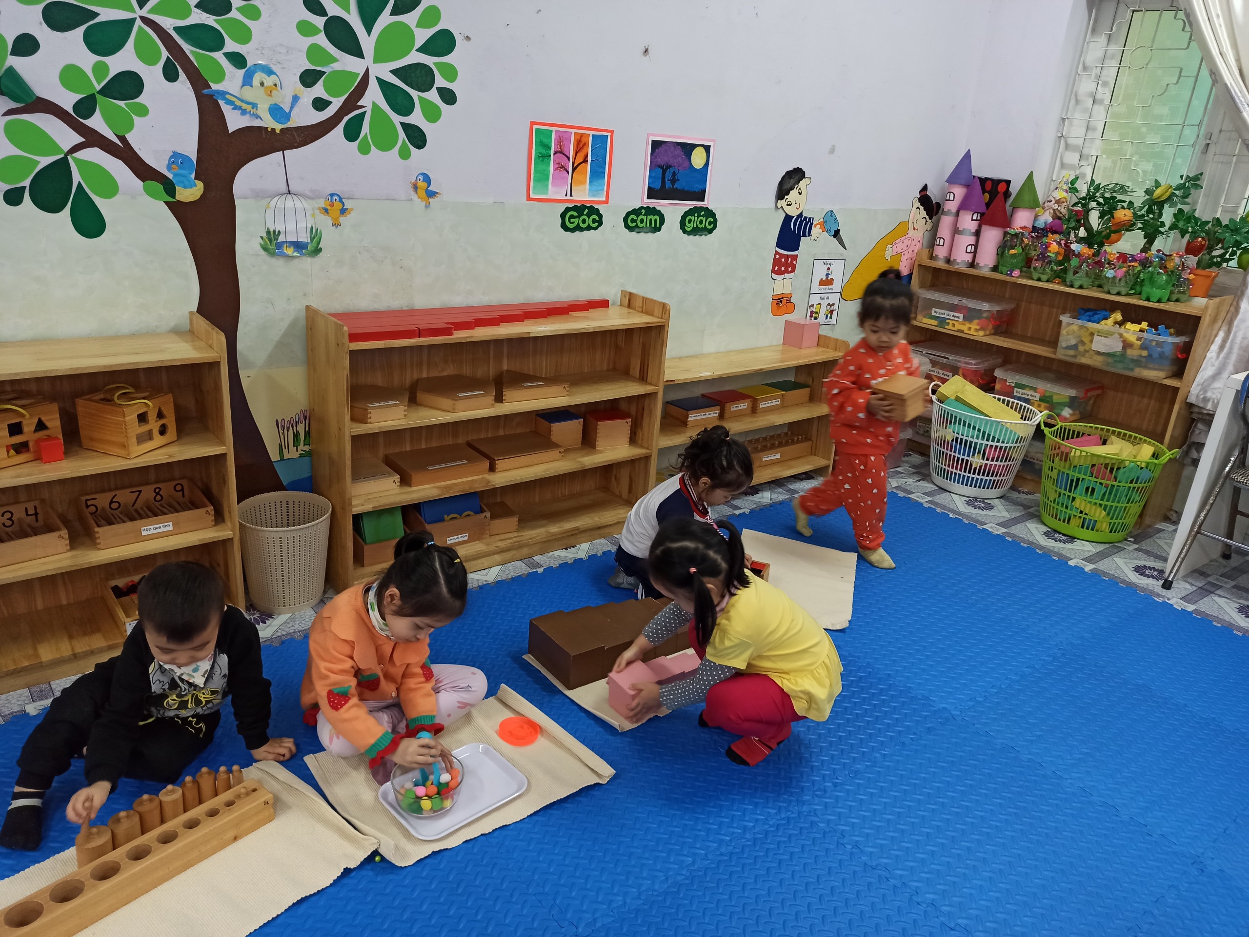 Nhấn vào ảnh để phóng to